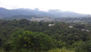 Imagen de zona de monte en Puerto Rico, el país de la Sonora Poceña.