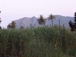 La llamada Sierra de Callosa, a cuyos pies está la localidad de Callosa de Segura.