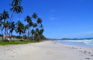 Playa El Agua en la isla venezolana de Margarita.