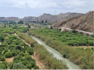 El río Seguro a su paso por la localidad murciana de Archena.