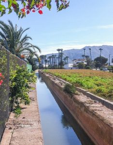 Huerta de Murcia Acequia de Benicomay en las proximidades de Los Ramos. Ilustración para la zarzuela La alegría de la huerta.
