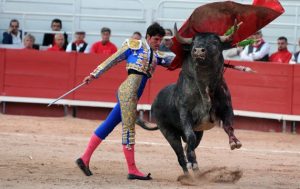 Torero dándole un pase a un toro en una corrida celebrada en la ciudad francesa de Arlés, en una imagen usada para ilustrar el pasodoble Toros en Arlés.