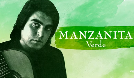 El cantante español español Manzanita intérprete de la canción titulada "Verde".